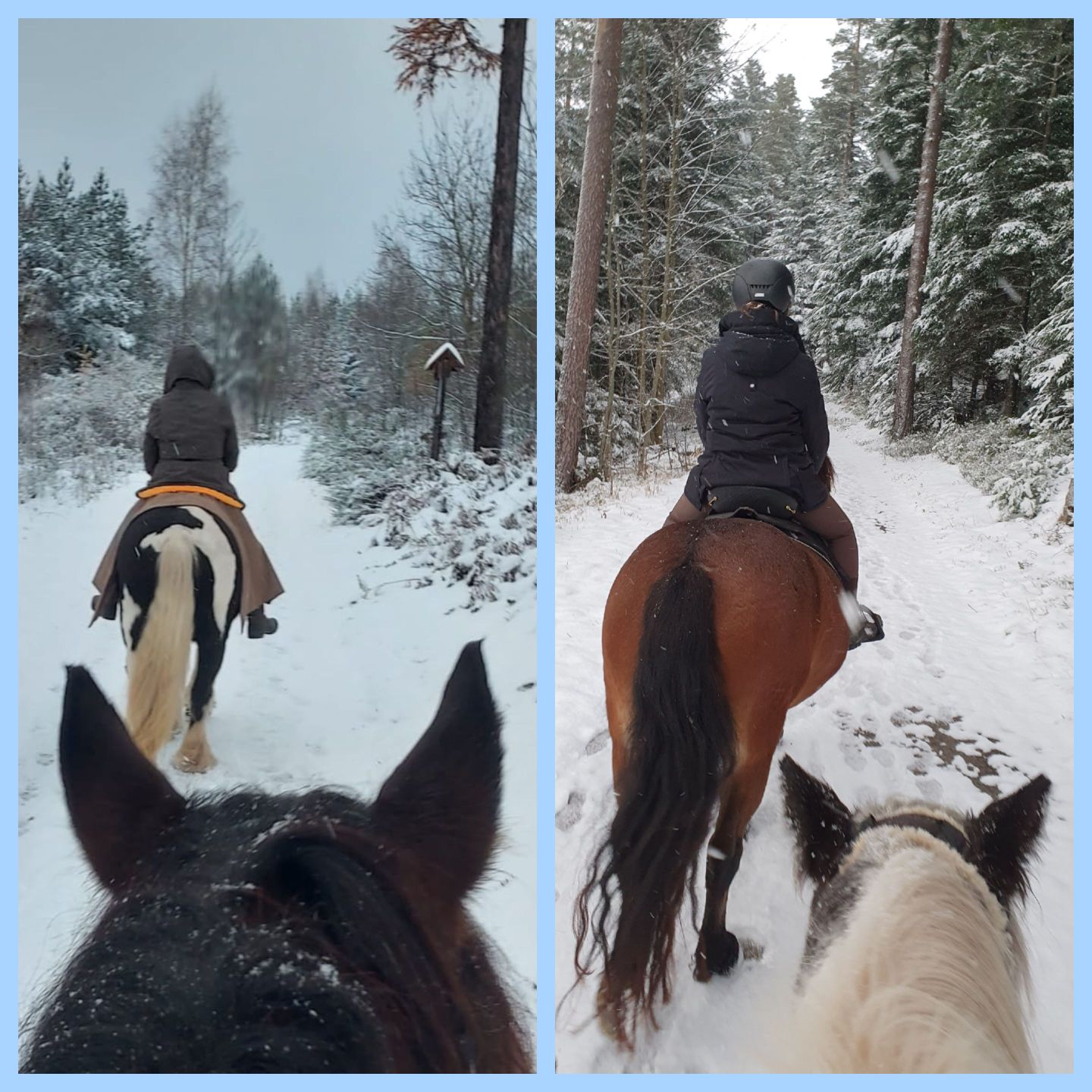 2023 11 November 623